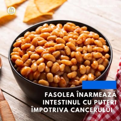 fasolea